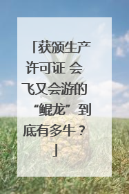 获颁生产许可证 会飞又会游的“鲲龙”到底有多牛？