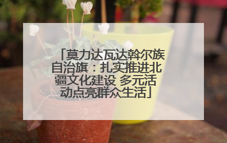 莫力达瓦达斡尔族自治旗：扎实推进北疆文化建设 多元活动点亮群众生活