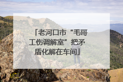 老河口市“毛哥工伤调解室”把矛盾化解在车间