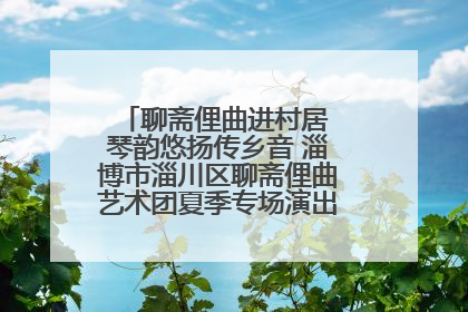 聊斋俚曲进村居 琴韵悠扬传乡音 淄博市淄川区聊斋俚曲艺术团夏季专场演出在杏园子村举行