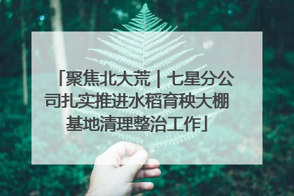 聚焦北大荒｜七星分公司扎实推进水稻育秧大棚基地清理整治工作