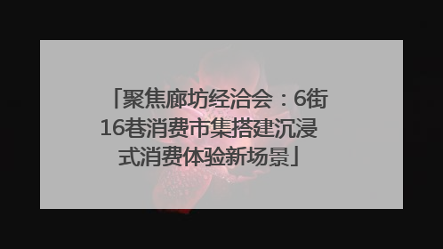 聚焦廊坊经洽会：6街16巷消费市集搭建沉浸式消费体验新场景