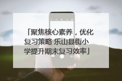 聚焦核心素养，优化复习策略 乐山县街小学提升期末复习效率