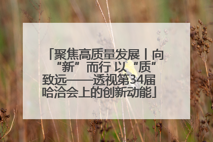 聚焦高质量发展丨向“新”而行 以“质”致远——透视第34届哈洽会上的创新动能