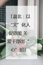 肃北：以“文”化人促效能 关爱干部出“心”招