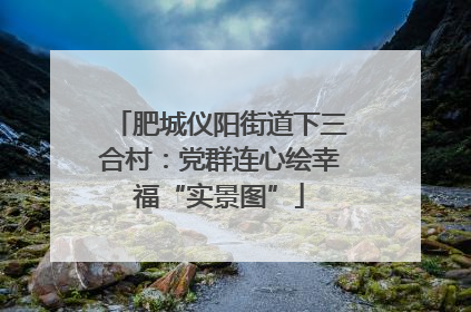 肥城仪阳街道下三合村：党群连心绘幸福“实景图”