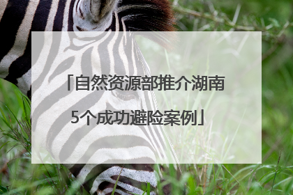 自然资源部推介湖南5个成功避险案例