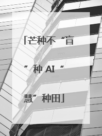 芒种不“盲”种 AI“慧”种田