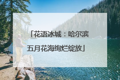 花语冰城：哈尔滨五月花海绚烂绽放