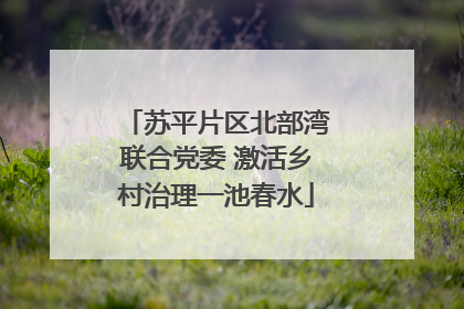 苏平片区北部湾联合党委 激活乡村治理一池春水