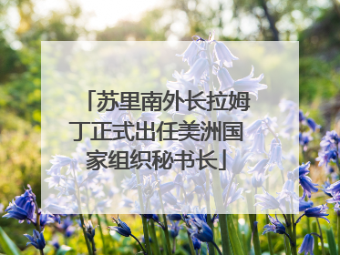 苏里南外长拉姆丁正式出任美洲国家组织秘书长