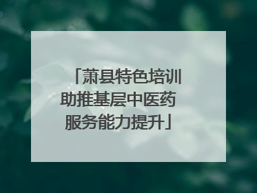 萧县特色培训助推基层中医药服务能力提升