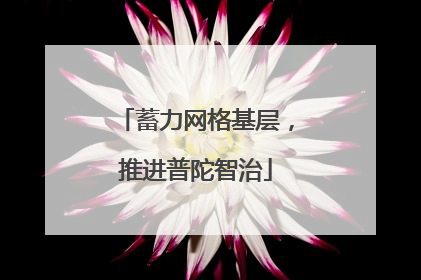 蓄力网格基层，推进普陀智治
