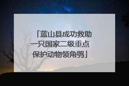 蓝山县成功救助一只国家二级重点保护动物领角鸮