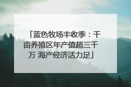 蓝色牧场丰收季：千亩养殖区年产值超三千万 海产经济活力足