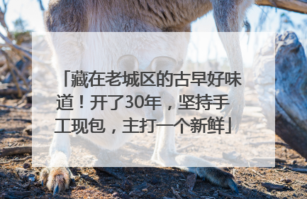藏在老城区的古早好味道！开了30年，坚持手工现包，主打一个新鲜
