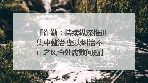 许勤：持续纵深推进集中整治 坚决纠治不正之风查处腐败问题