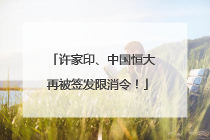 许家印、中国恒大再被签发限消令！
