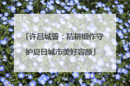 许昌城管：精耕细作守护夏日城市美好容颜