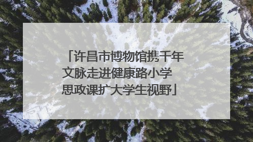 许昌市博物馆携千年文脉走进健康路小学 思政课扩大学生视野