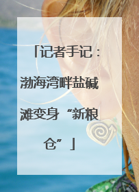 记者手记：渤海湾畔盐碱滩变身“新粮仓”