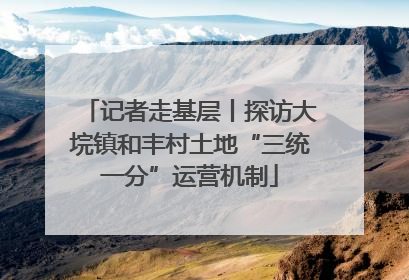 记者走基层丨探访大垸镇和丰村土地“三统一分”运营机制