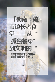衡南：硫市镇长者食堂——从“孤独餐桌”到文明的“温馨港湾”