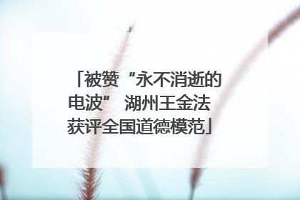 被赞“永不消逝的电波” 湖州王金法获评全国道德模范