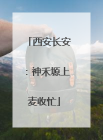 西安长安：神禾塬上麦收忙