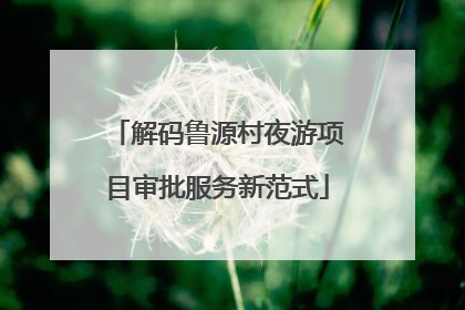 解码鲁源村夜游项目审批服务新范式