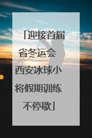 迎接首届省冬运会 西安冰球小将假期训练不停歇