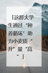 这群大学生通过“种养循环”助力小麦质“升”量“高”