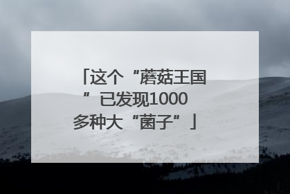 这个“蘑菇王国”已发现1000多种大“菌子”