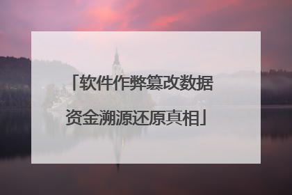 软件作弊篡改数据 资金溯源还原真相