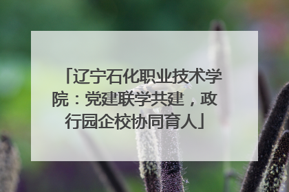 辽宁石化职业技术学院：党建联学共建，政行园企校协同育人