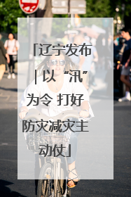 辽宁发布｜以“汛”为令 打好防灾减灾主动仗