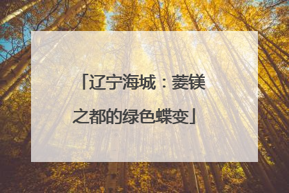 辽宁海城：菱镁之都的绿色蝶变