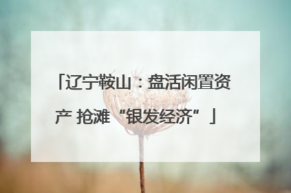 辽宁鞍山：盘活闲置资产 抢滩“银发经济”