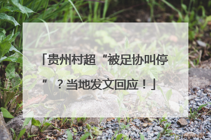 贵州村超“被足协叫停”？当地发文回应！