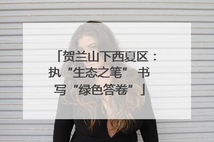 贺兰山下西夏区：执“生态之笔” 书写“绿色答卷”