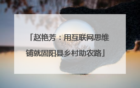 赵艳芳：用互联网思维铺就固阳县乡村助农路