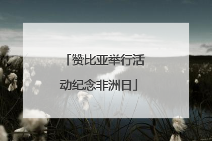 赞比亚举行活动纪念非洲日