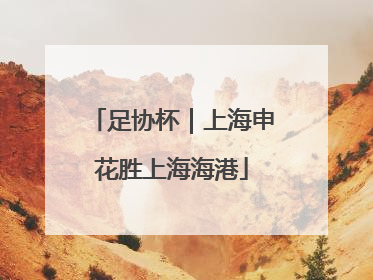 足协杯｜上海申花胜上海海港