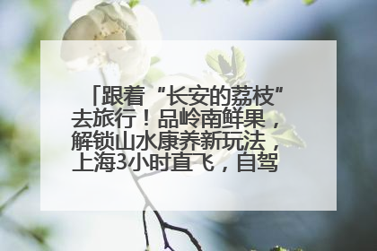 跟着“长安的荔枝”去旅行！品岭南鲜果，解锁山水康养新玩法，上海3小时直飞，自驾高速费优惠