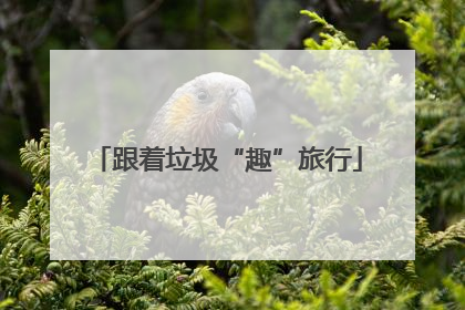 跟着垃圾“趣”旅行