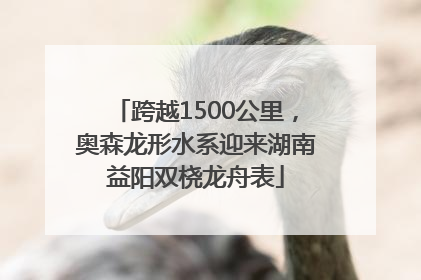 跨越1500公里，奥森龙形水系迎来湖南益阳双桡龙舟表