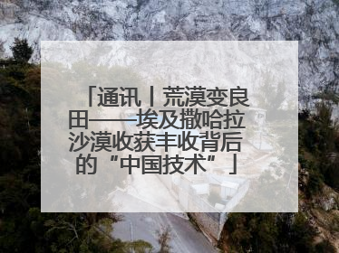 通讯丨荒漠变良田——埃及撒哈拉沙漠收获丰收背后的“中国技术”