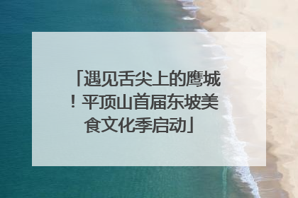 遇见舌尖上的鹰城！平顶山首届东坡美食文化季启动