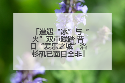 遭遇“冰”与“火”双重践踏 昔日“爱乐之城”洛杉矶已面目全非