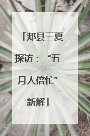 郏县三夏探访：“五月人倍忙”新解